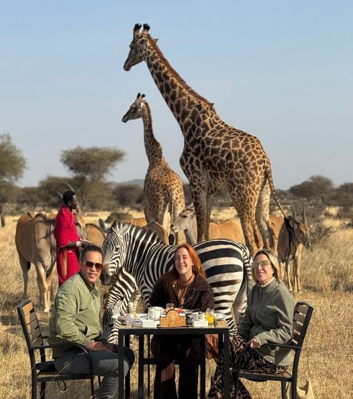 Wildlife encounter on a Tanzania safari