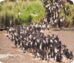 Ngorongoro Crater landscape in Tanzania
